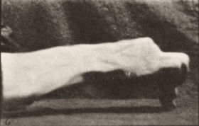 Plate 532 Movement of the hand, drawing a circle — figure reference